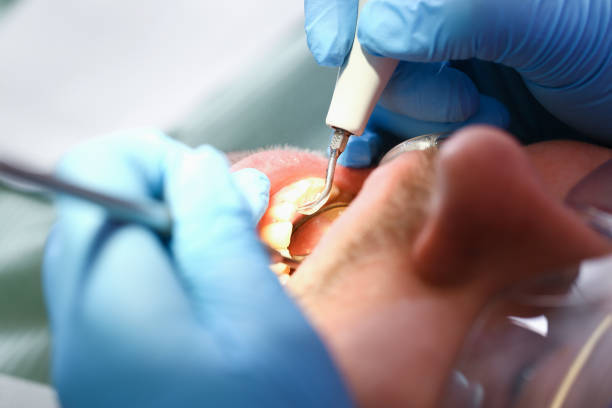 Best Dentist Open on Weekends  in Prudenville, MI